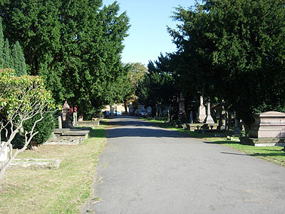 ladywell_1.jpg