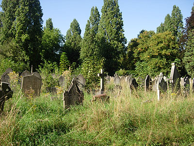 ladywell_2.jpg