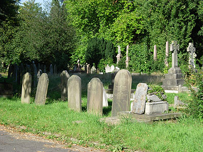 ladywell_3.jpg