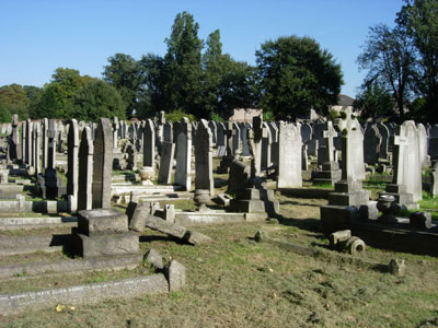 ladywell_6.jpg